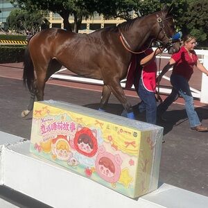 NWT Bundle-Stitch Plushie bag charm/keychain & Full Box MunMun’s 8 Blind Boxes